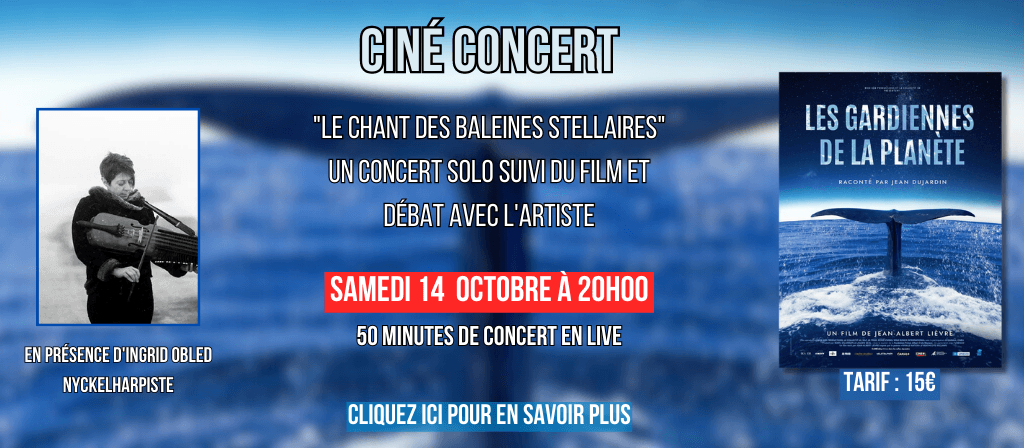 actualité Ciné-Concert : Le Chant des baleines stellaires